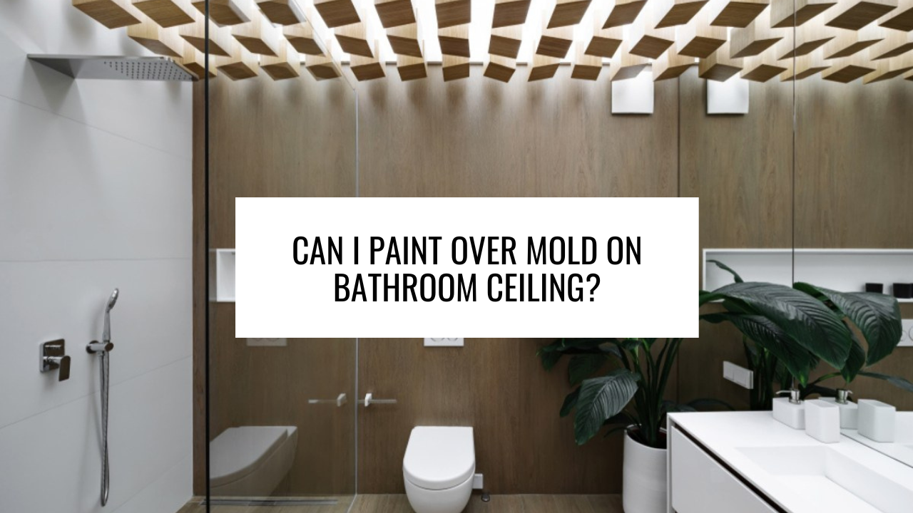Can I Paint Over Mold on Bathroom Ceiling?