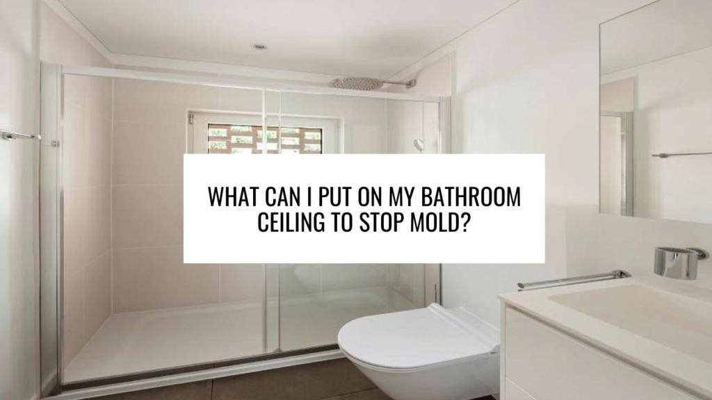 What Can I Put on My Bathroom Ceiling to Stop Mold?