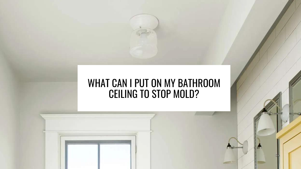What Can I Put on My Bathroom Ceiling to Stop Mold?